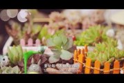 枪王吃鸡争夺战 