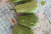 黑料吃瓜网apk普通安装 